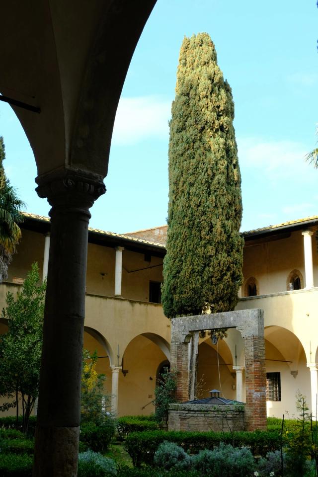 Area benessere con parete di sale e lettini