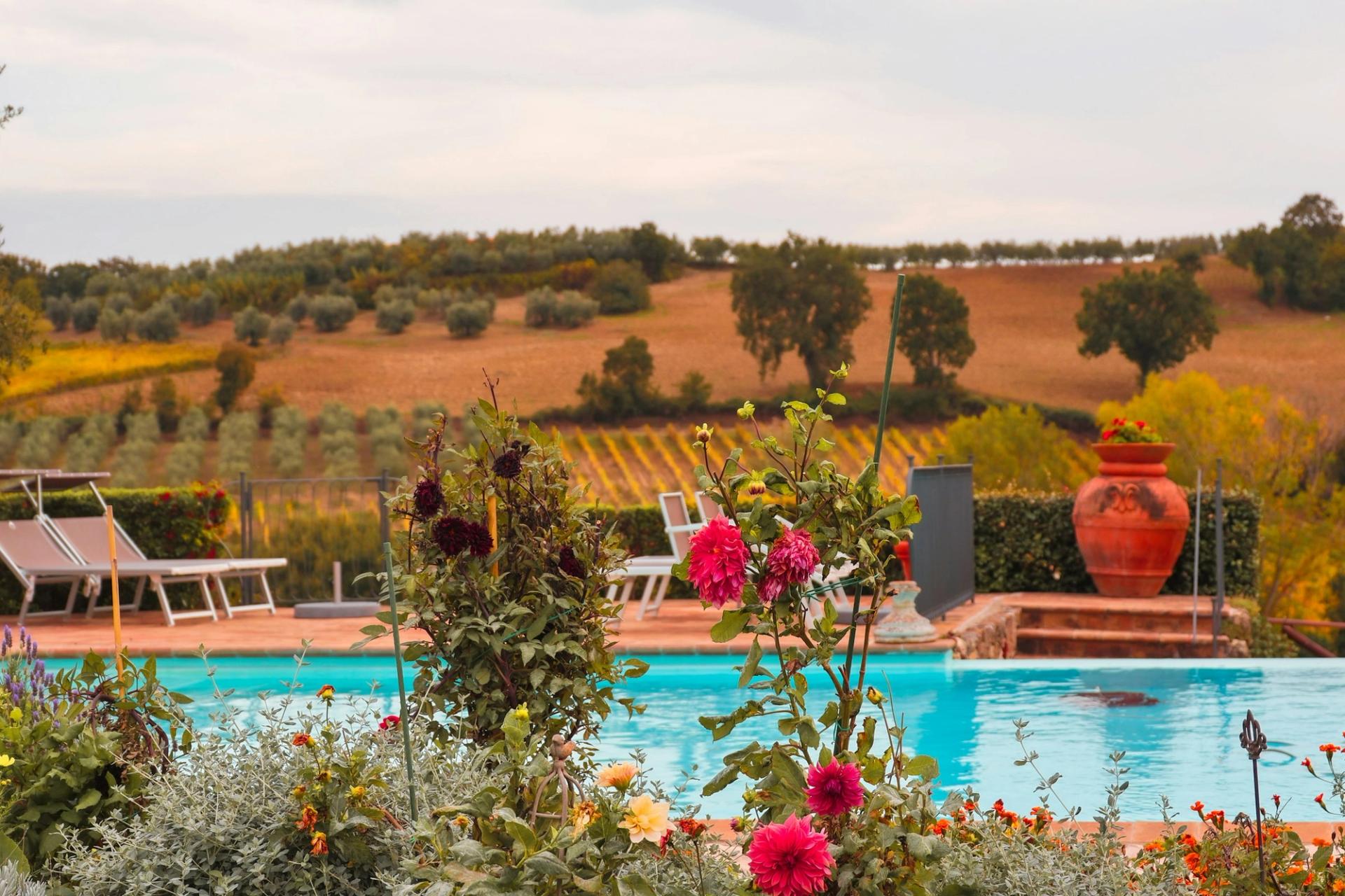La piscina tra le rose, con vista sulle colline