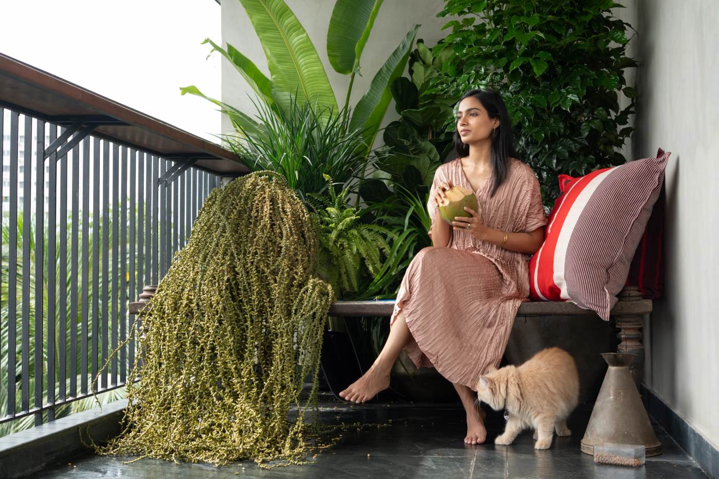 The planted balcony, its trailing greenery spilling over the rail