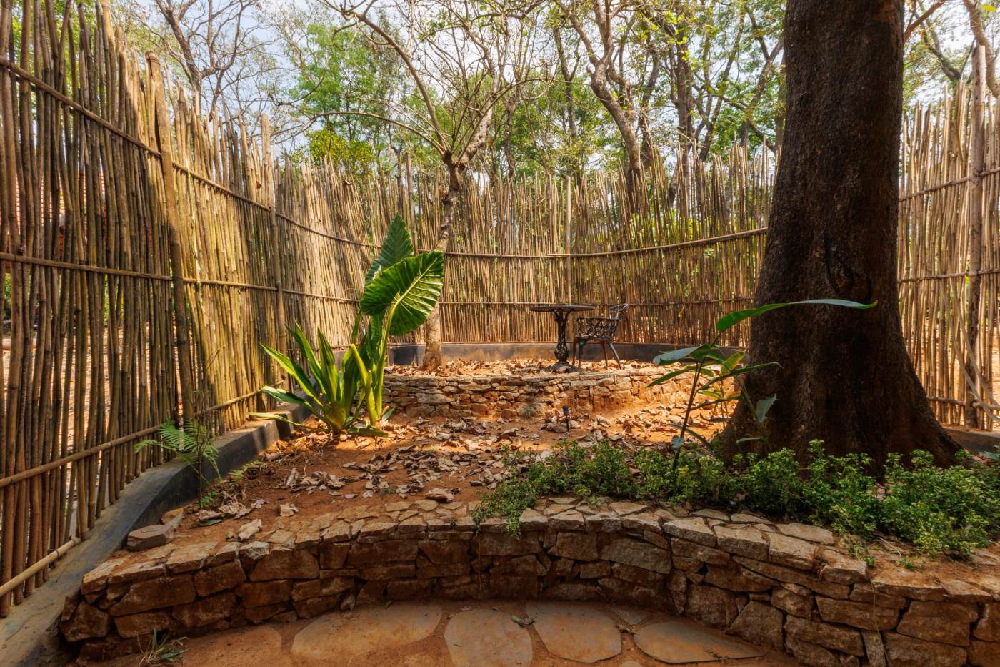 The inner courtyard, screened by bamboo grown on site