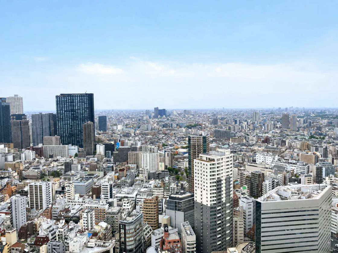 Tokyo City View from the Guest Room