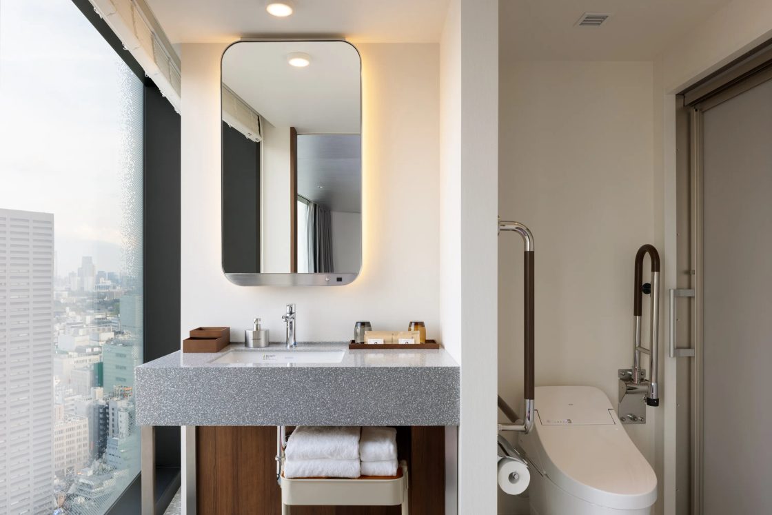 Washbasin and toilet beside the window