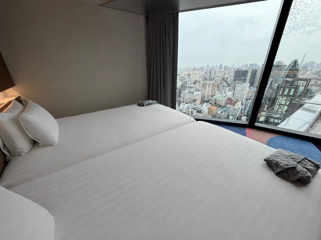 Beds in the Accessible Twin room