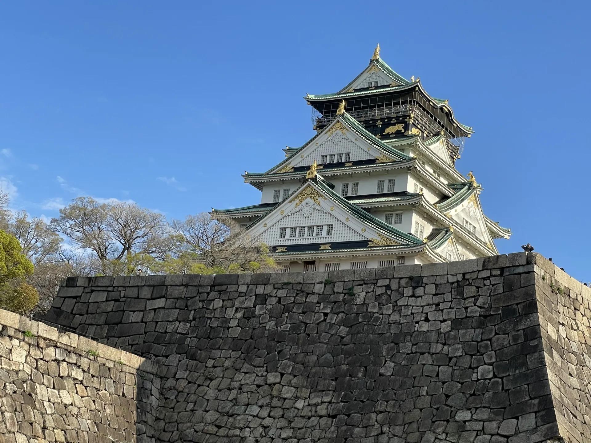 Tokyo Icons, Kyoto Heritage & Osaka Flavours | 10-Day Accessible Japan Journey