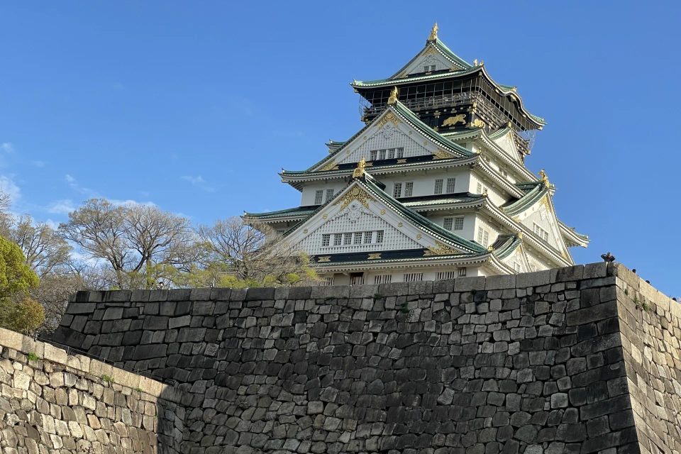 Tokyo Icons, Kyoto Heritage & Osaka Flavours | 10-Day Accessible Japan Journey