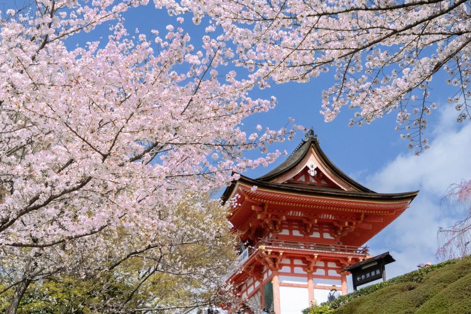 Osaka to Kyoto | East-to-West Kyoto Highlights