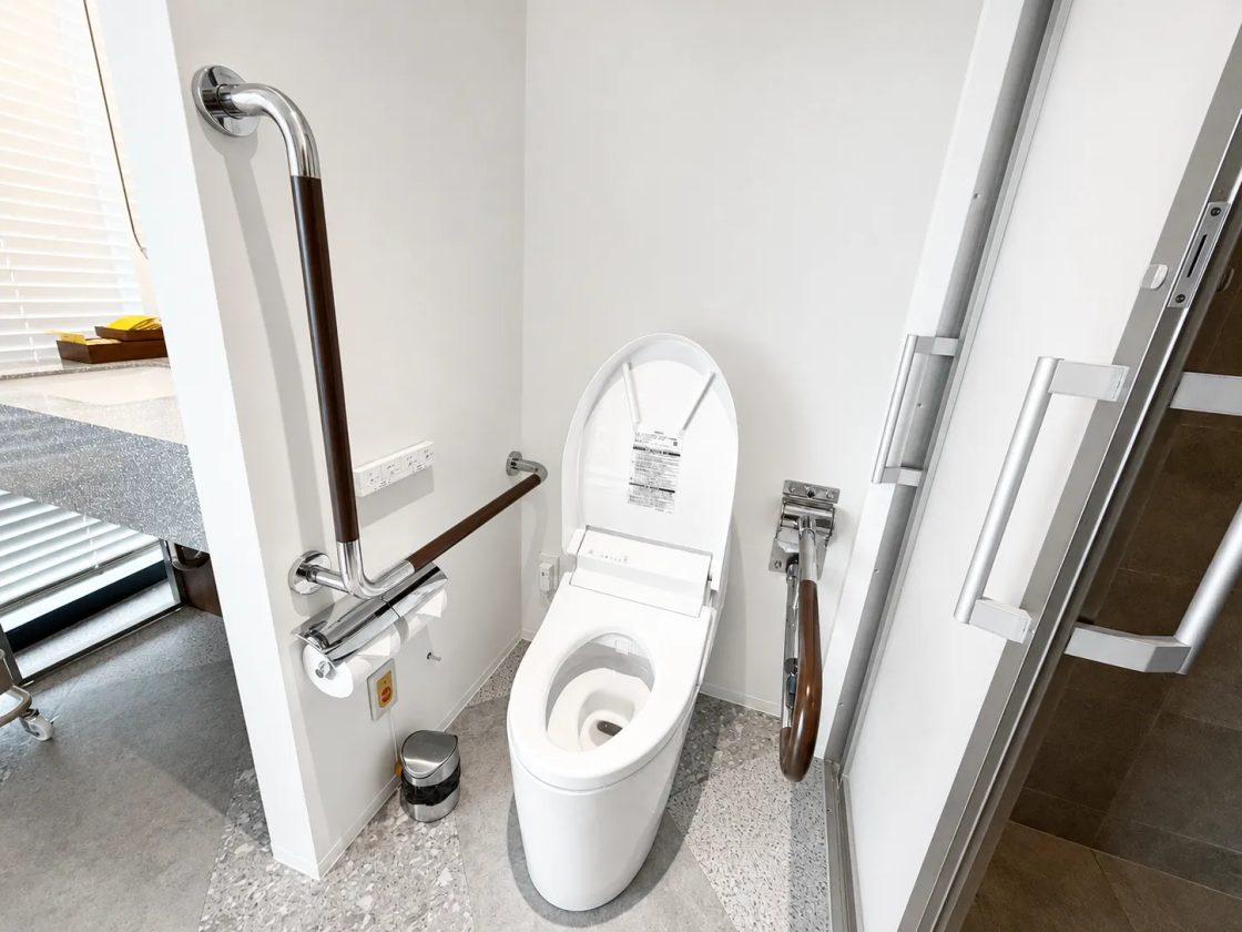 Toilet with grab bars and bidet controls beside the window