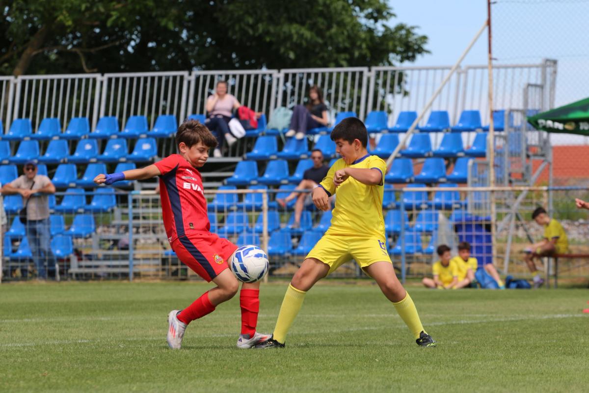 Tournament photo, 2026