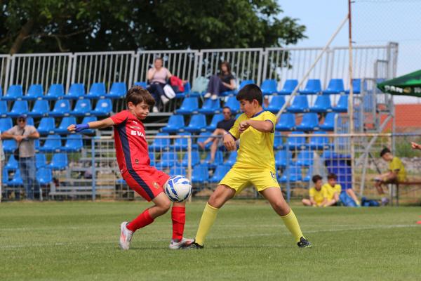 Tournament photo, 2026