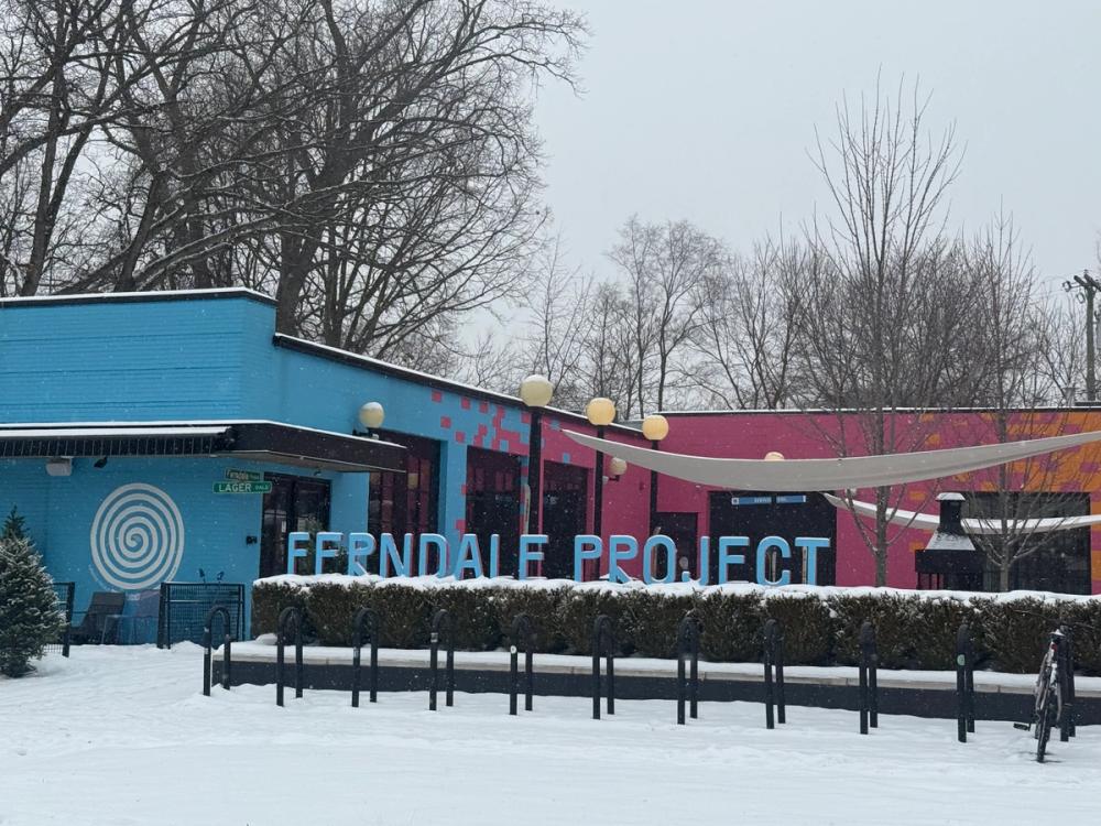 image of Ferndale Project