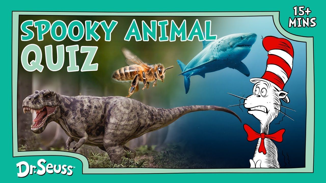 Quirky Quiz with the Cat in the Hat