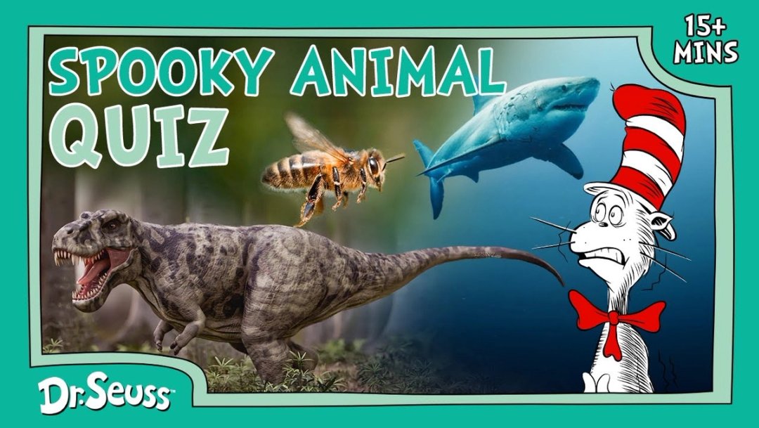 Quirky Quiz with the Cat in the Hat
