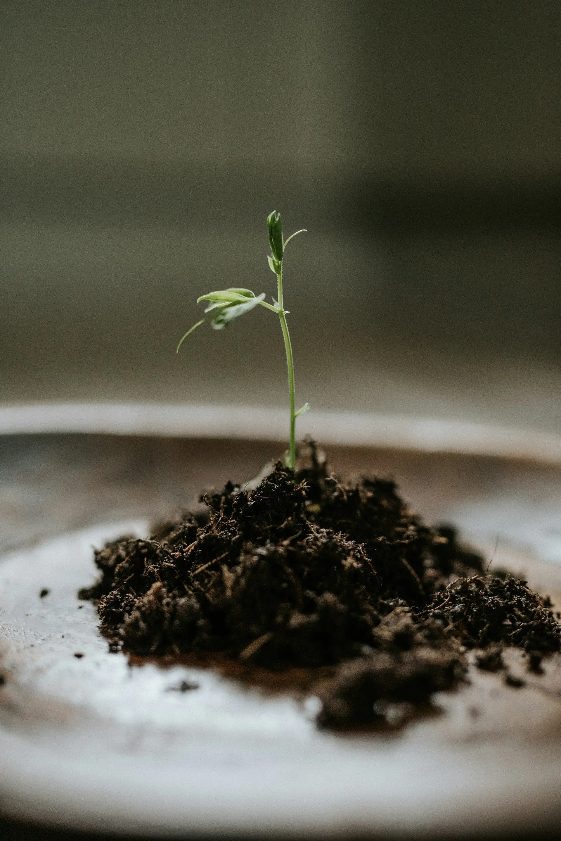 🚀 5 Hacks de croissance simples que chaque petite entreprise devrait essayer dès aujourd’hui