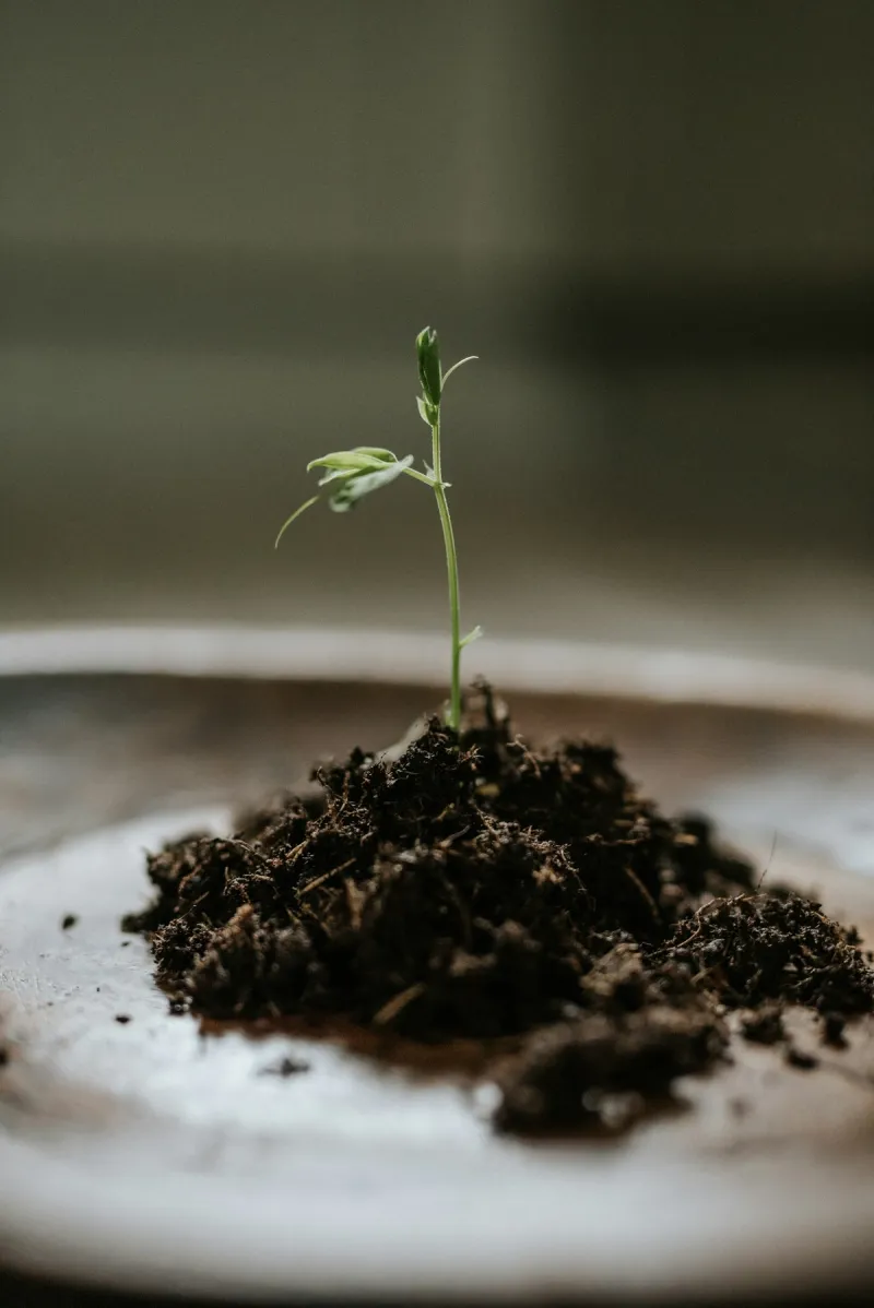 🚀 5 Hacks de croissance simples que chaque petite entreprise devrait essayer dès aujourd’hui