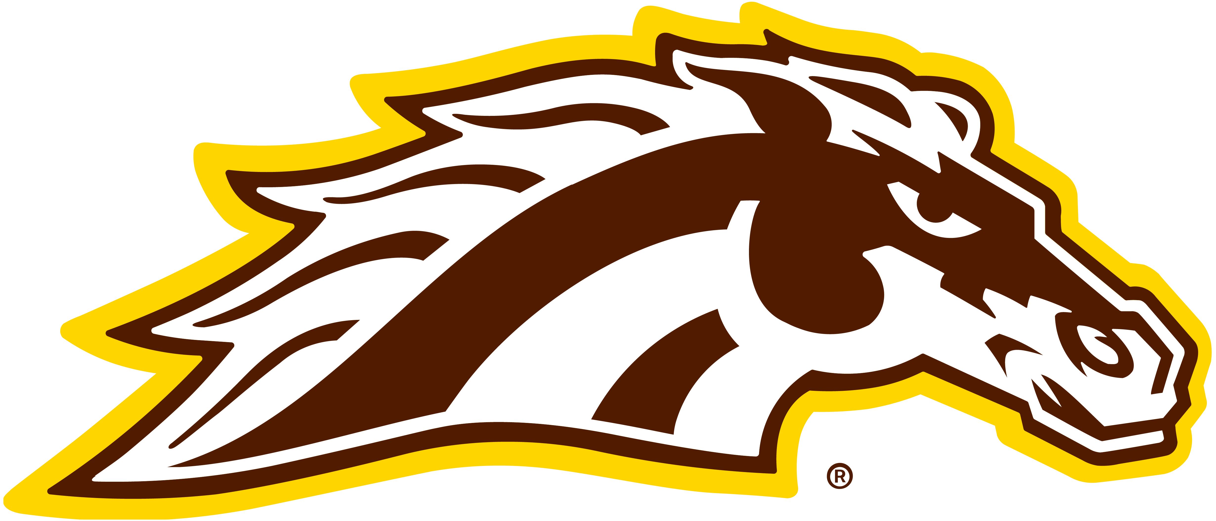 Western Michigan