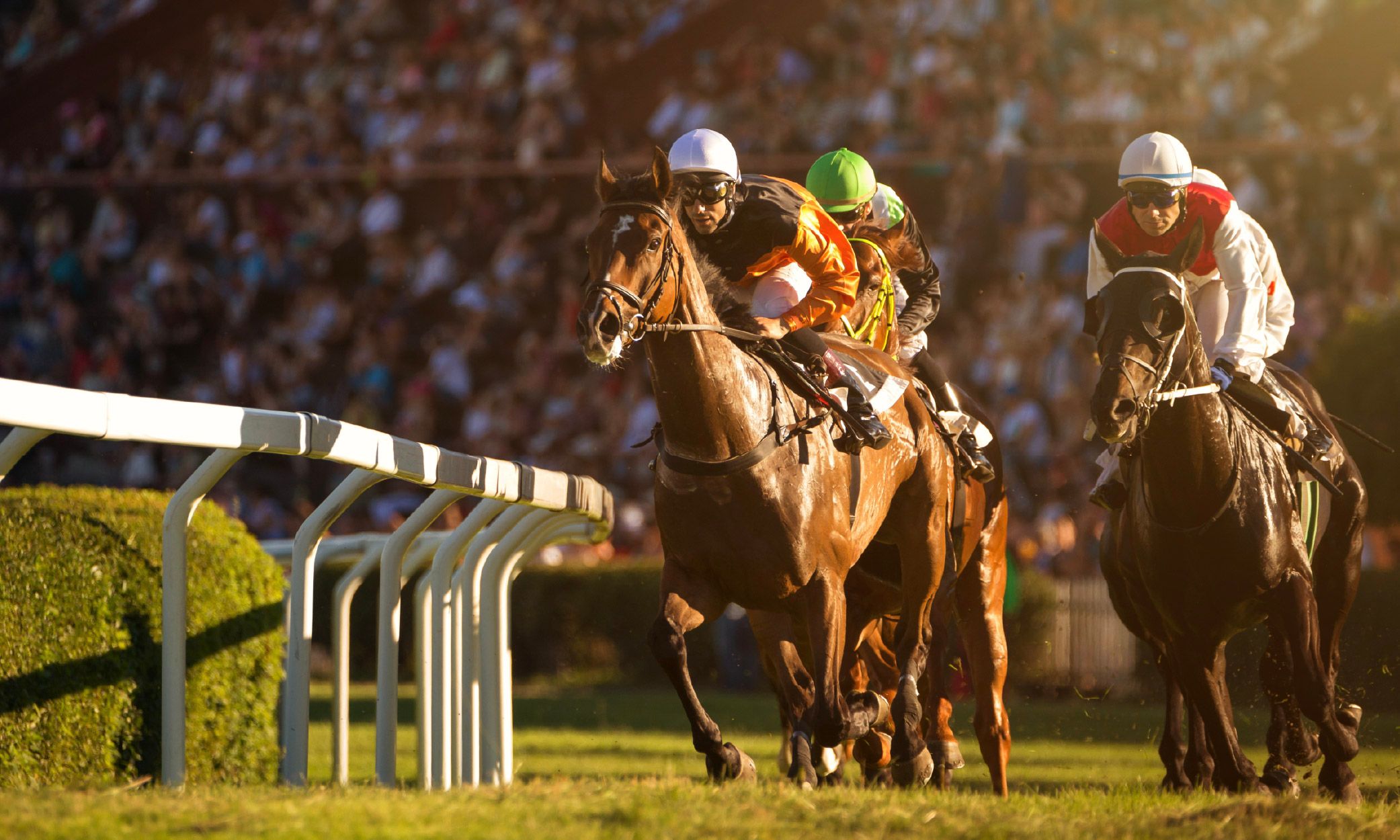 The Kentucky Experience