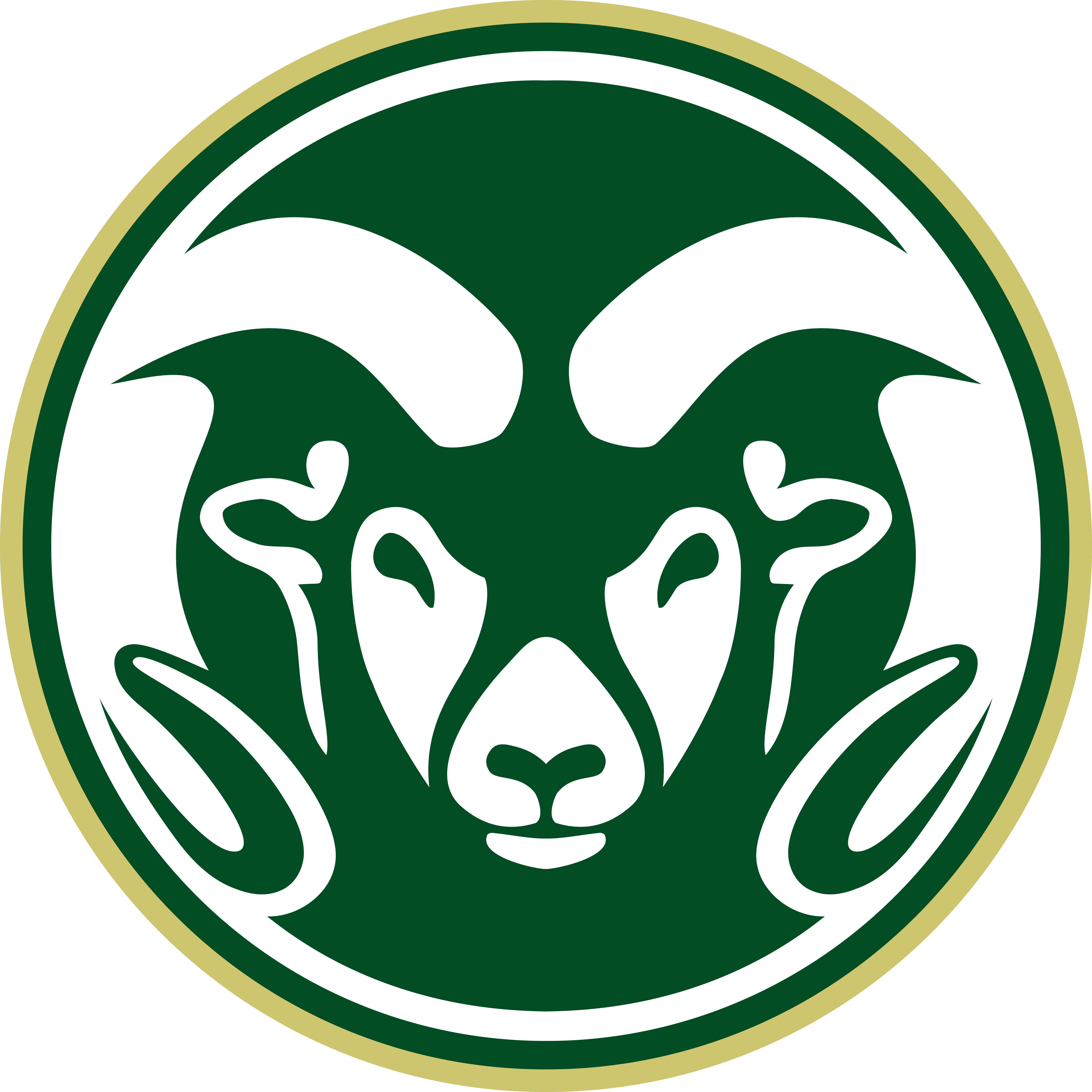 Colorado State