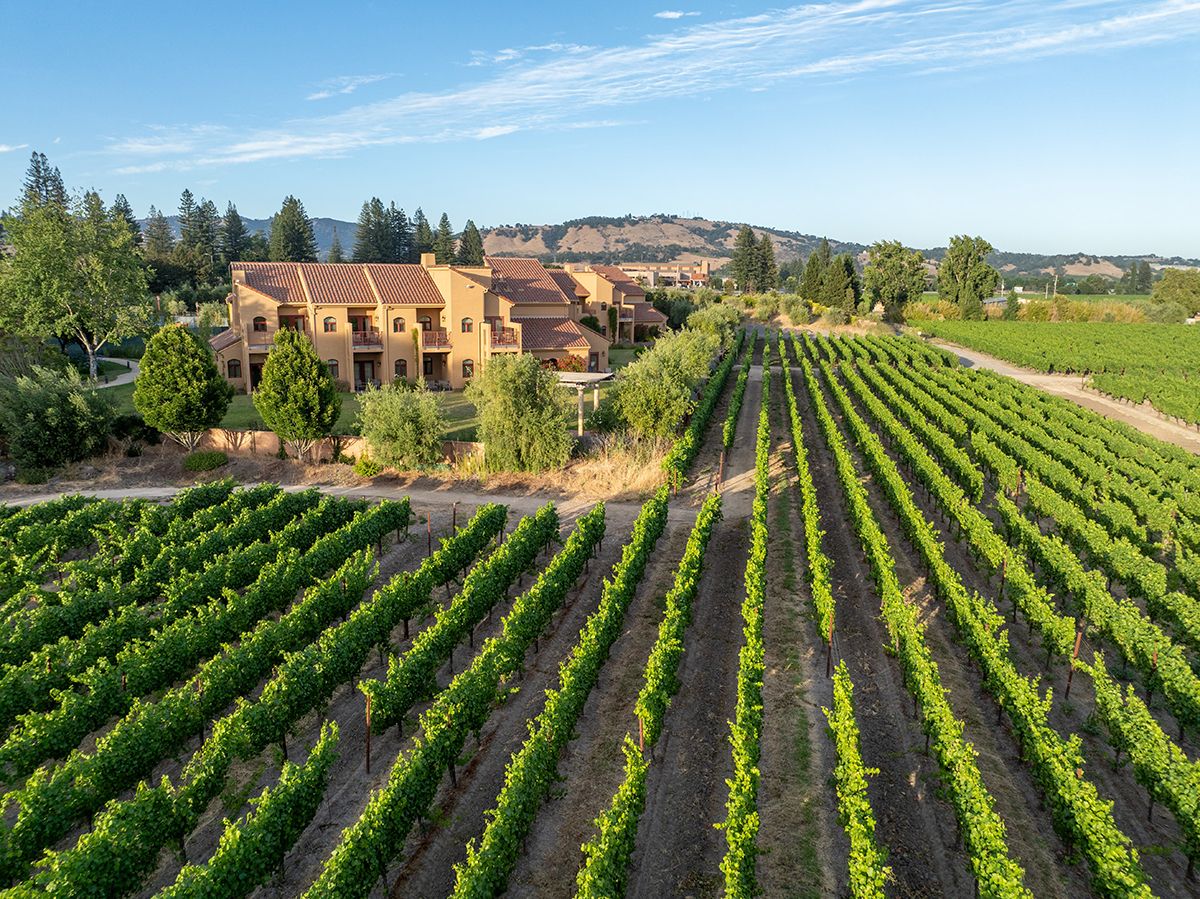 THE NAPA VALLEY WINE EXPERIENCE