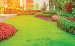 Unique Avenue 210 Unique Avenue 210