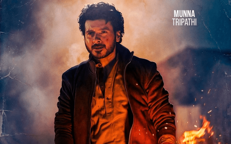 Mirzapur The Movie Review