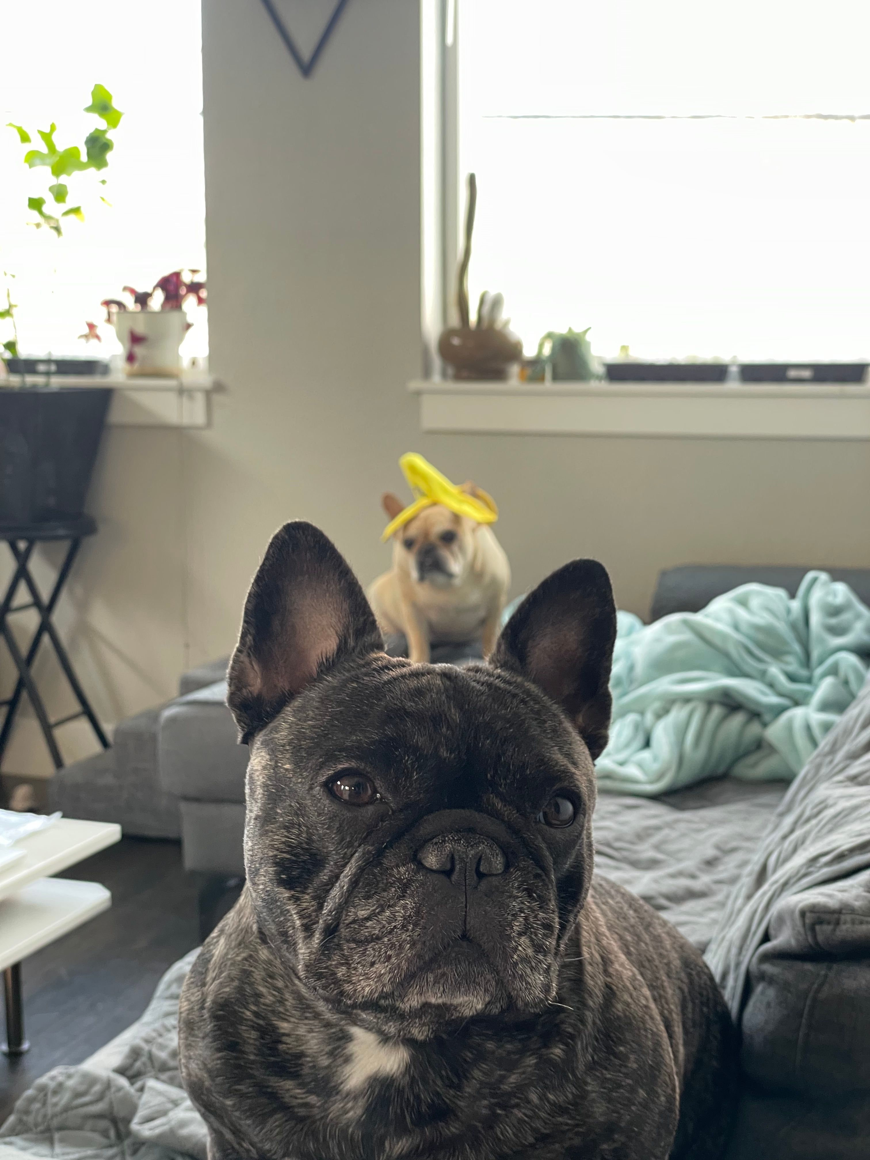 Photo of Lawrence & Kristel