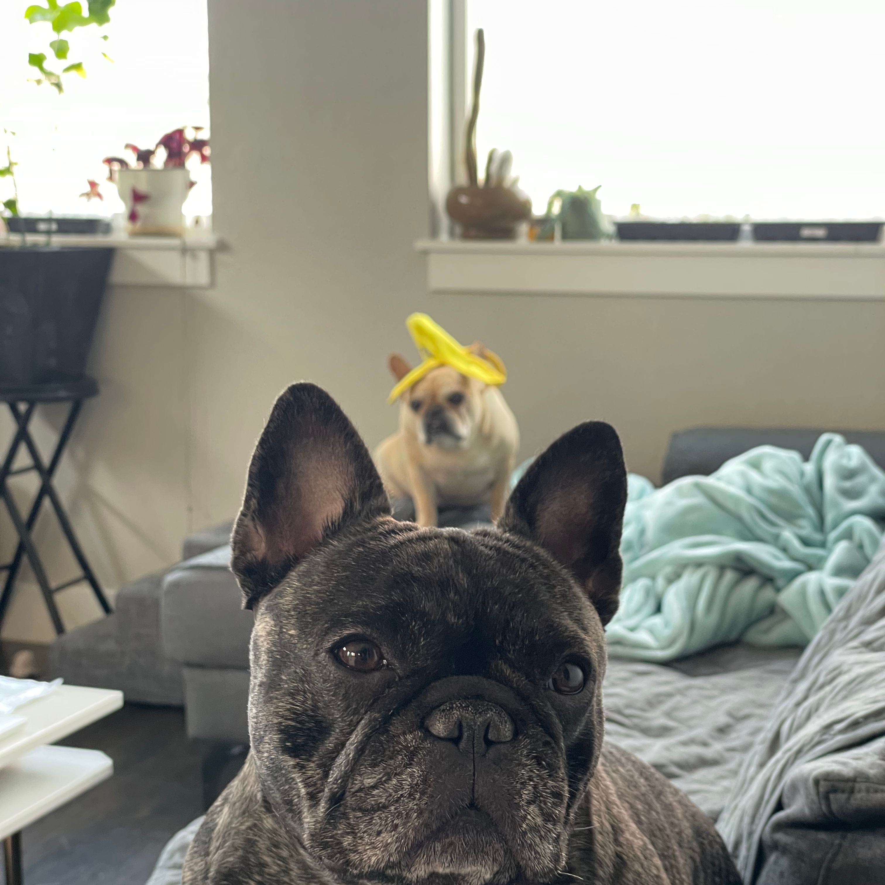 Photo of Lawrence & Kristel