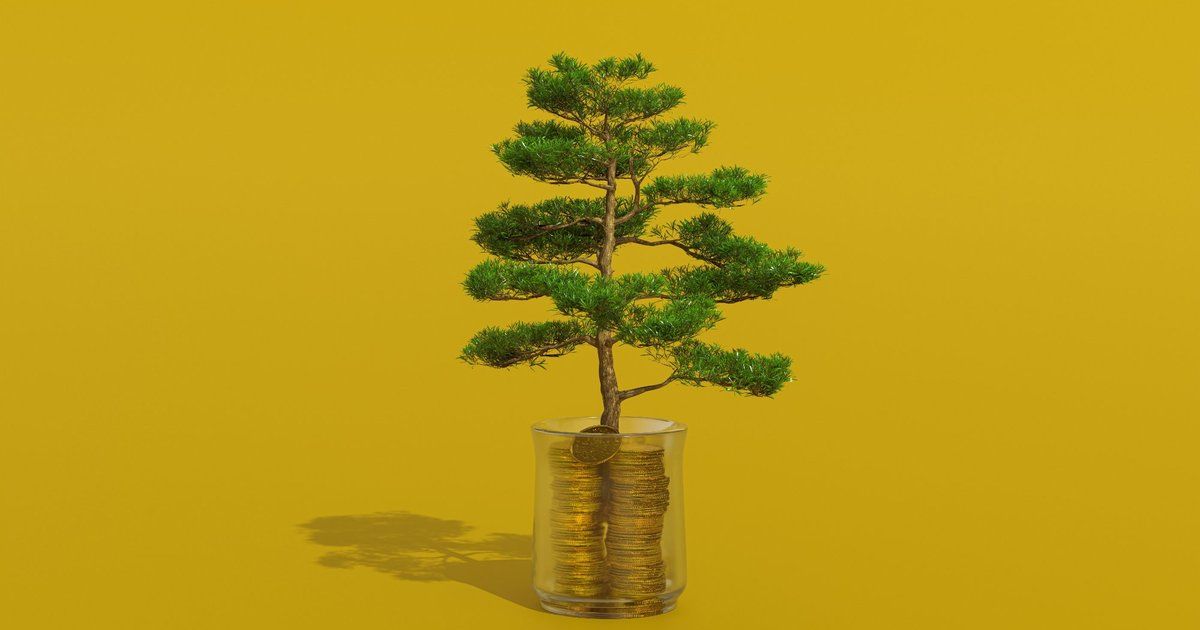 KI-Investitionen im Mittelstand, die Rendite bringen, dargestellt als Baum der aus Münzen wächst