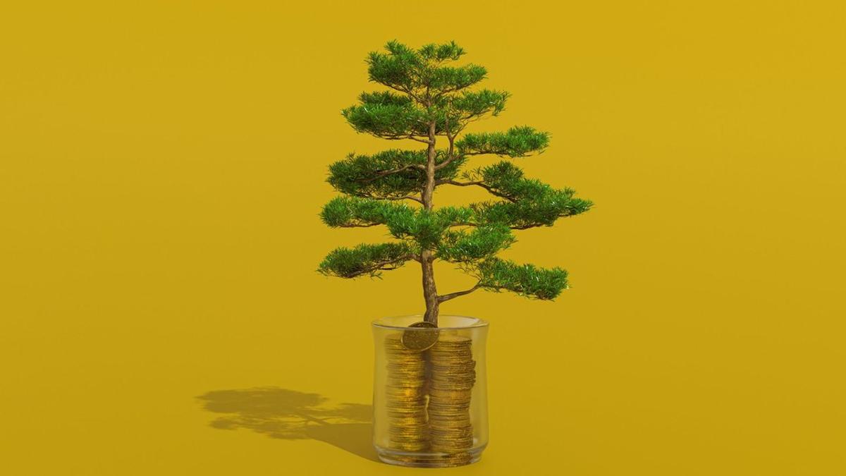 KI-Investitionen im Mittelstand, die Rendite bringen, dargestellt als Baum der aus Münzen wächst
