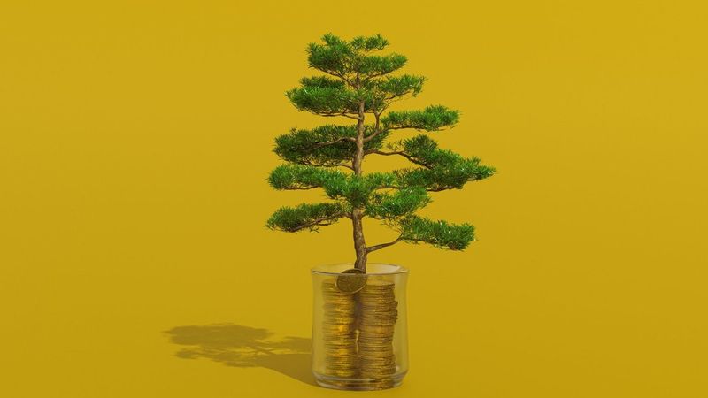 KI-Investitionen im Mittelstand, die Rendite bringen, dargestellt als Baum der aus Münzen wächst