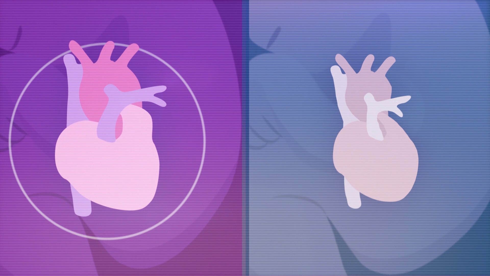 Understanding Ultrasounds — frame 6