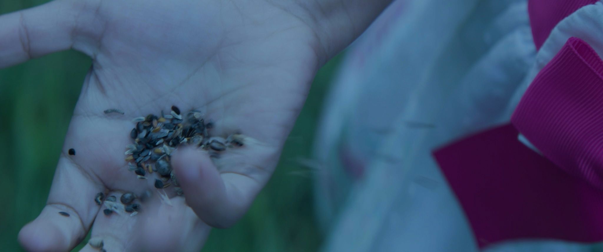 Spirit of Hope — frame 4