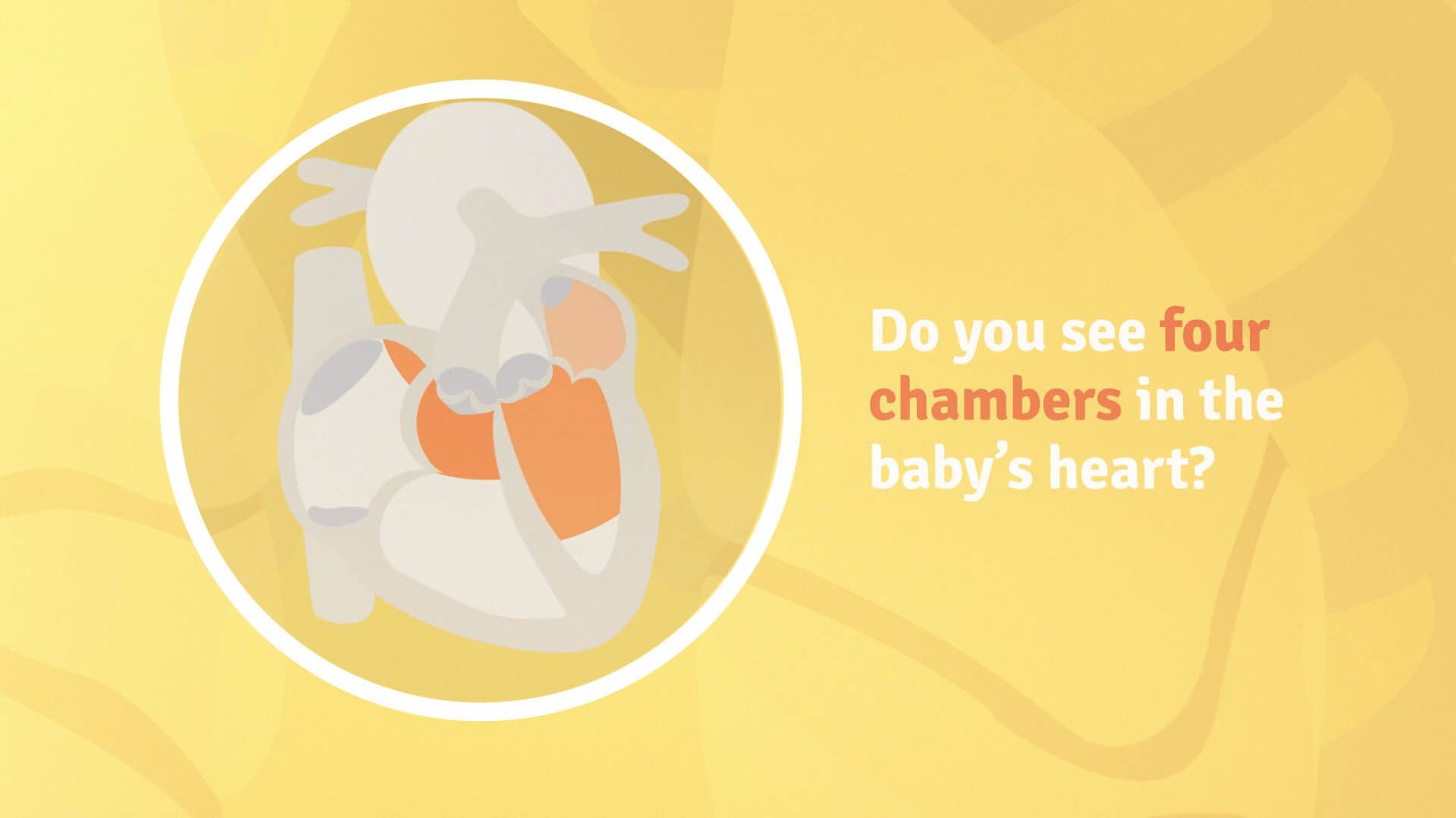 Understanding Ultrasounds — frame 9