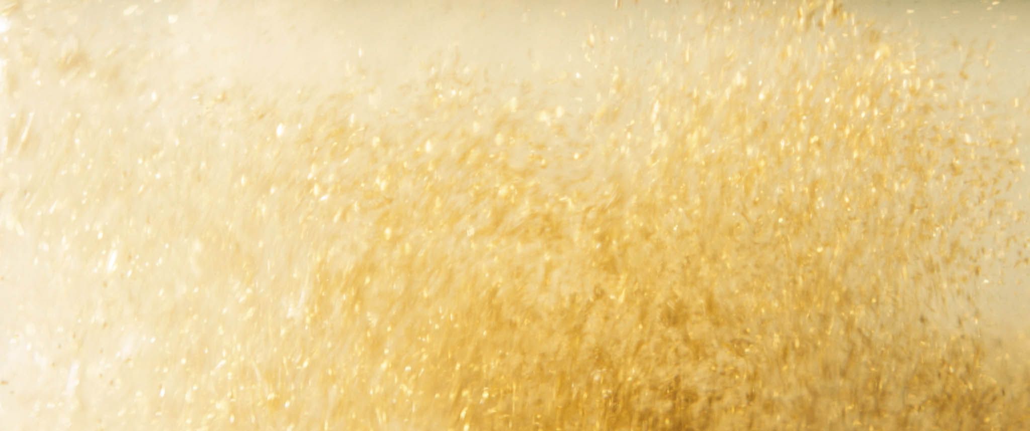 Focus — frame 16