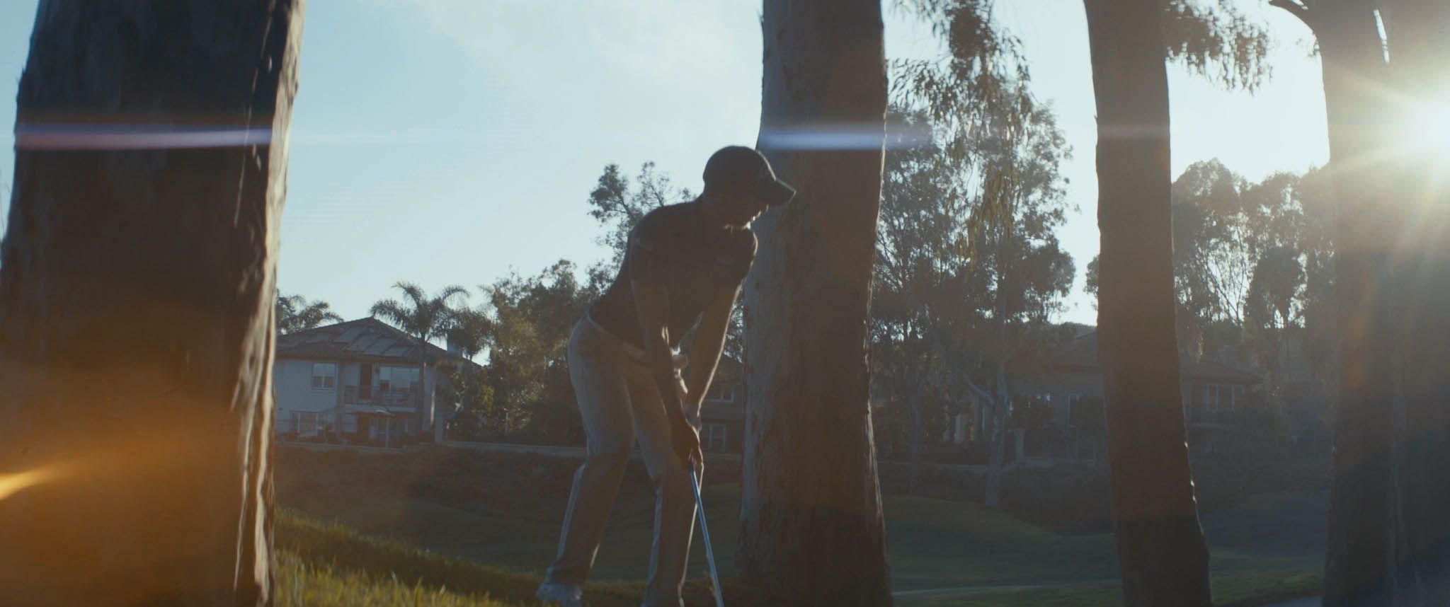 Focus — frame 12