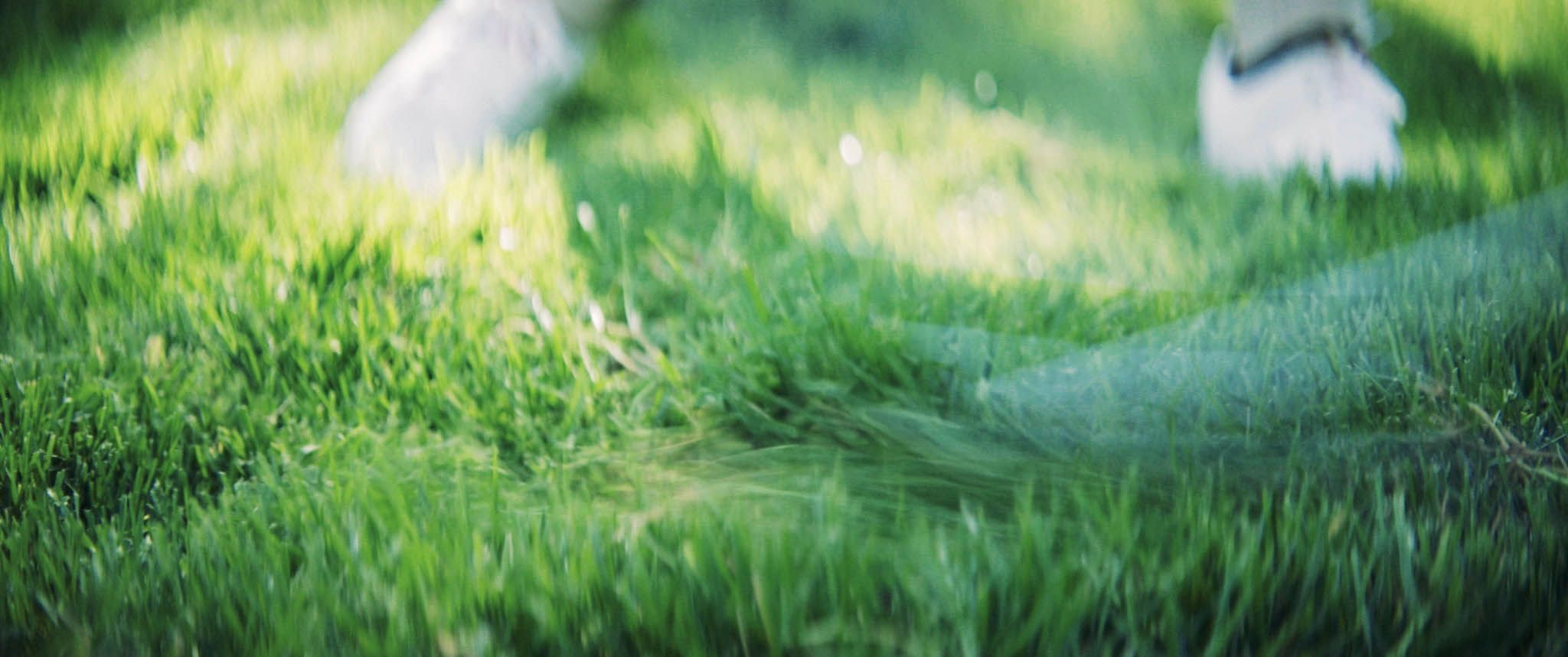 Focus — frame 13