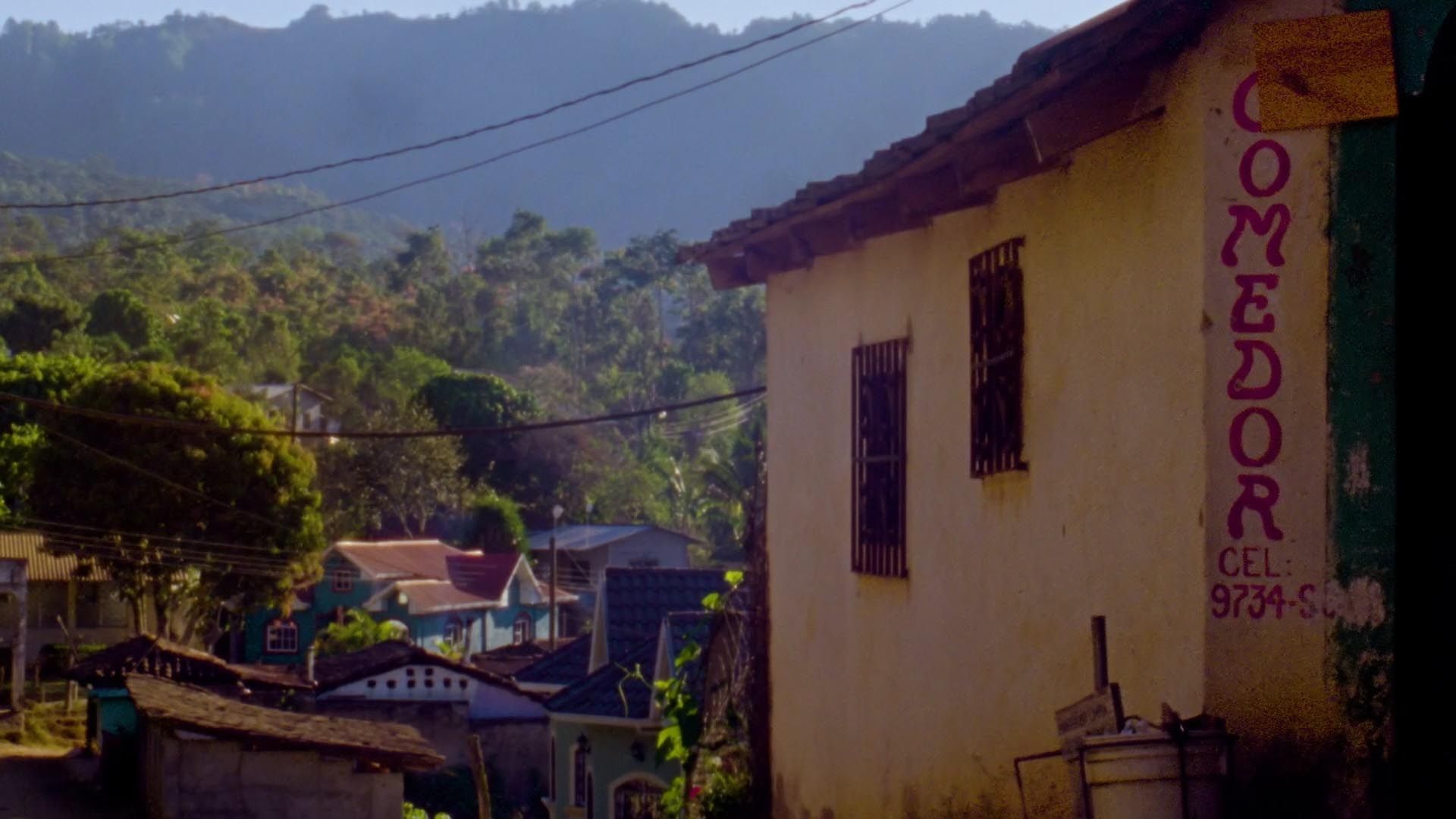 'Seed to Cup' Mini-Documentary — frame 3