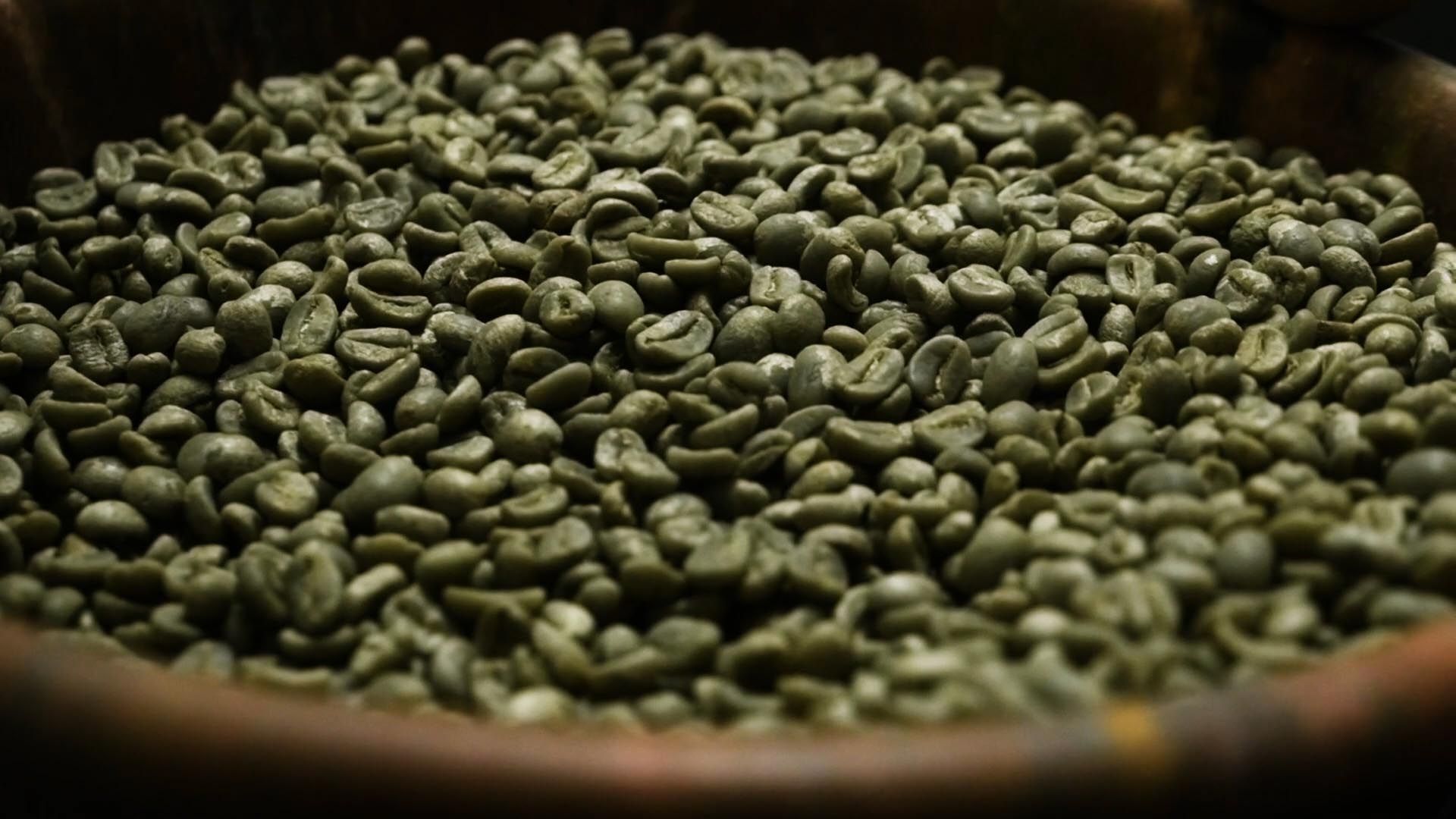 'Seed to Cup' Mini-Documentary — frame 13