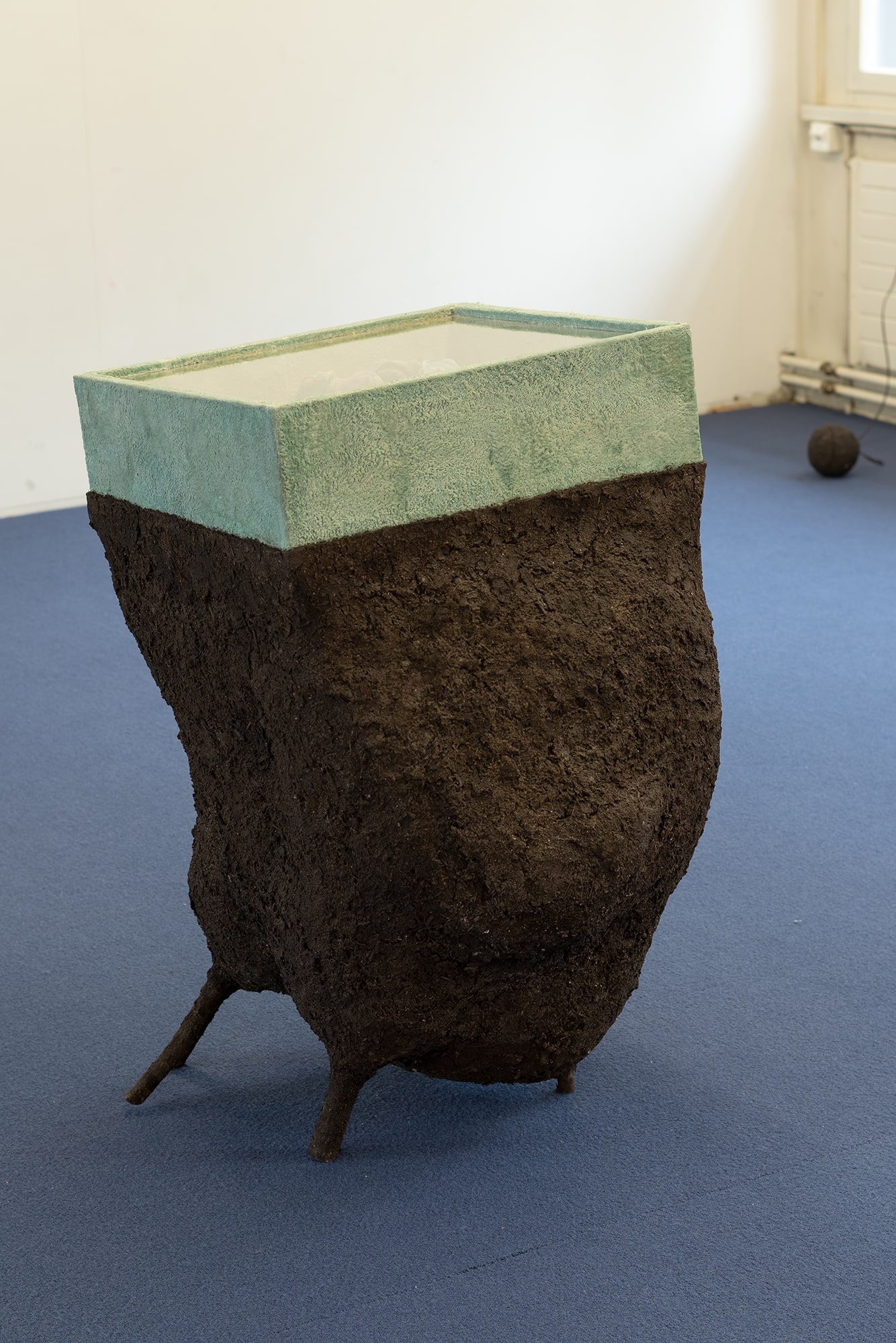 Pedro Wirz, Terra Quente, 2019. Photo