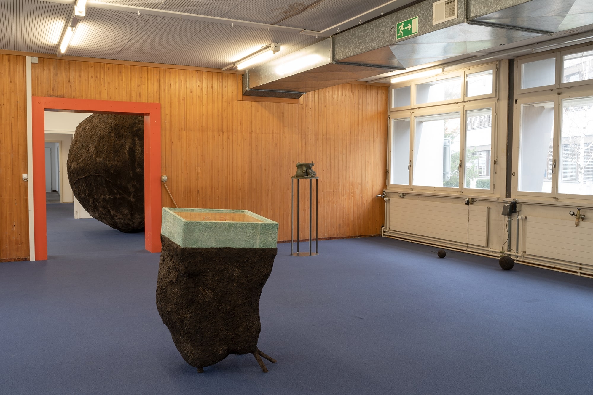 Pedro Wirz, Terra Quente, 2019. Photo