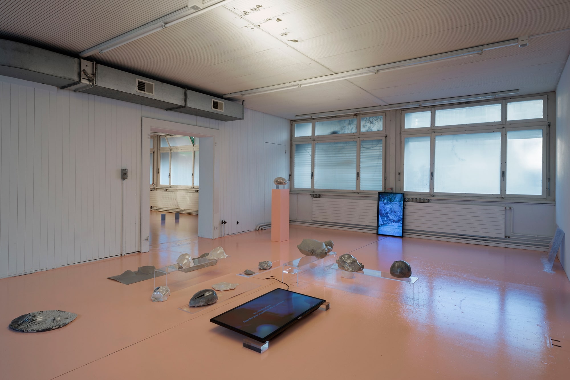 Ceylan Öztrük, Am a mollusk, too; re/producing tangents, installation view, 2020.