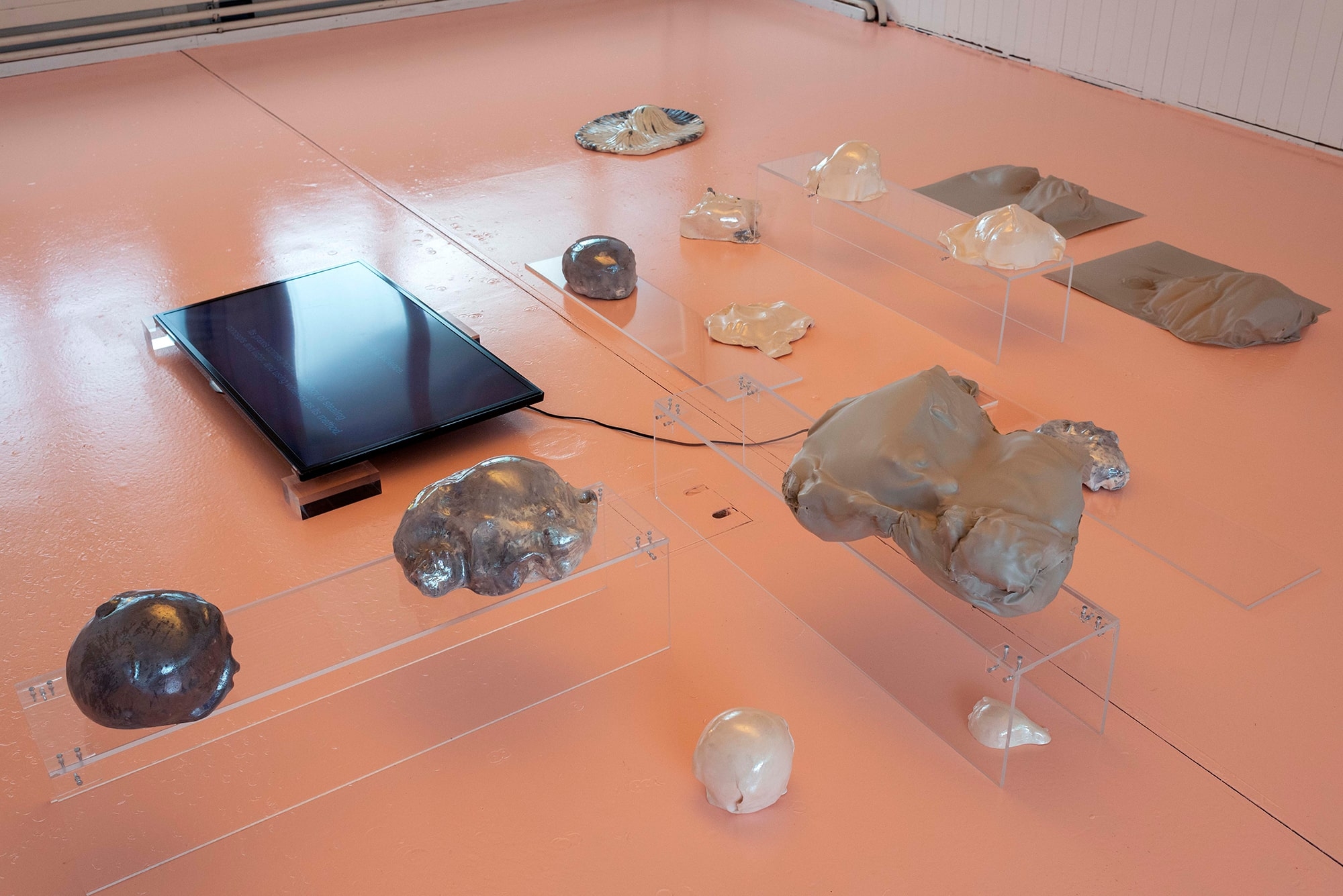 Ceylan Öztrük, Am a mollusk, too; re/producing tangents, installation view, 2020.