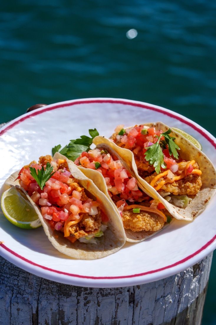 Fried fish tacos