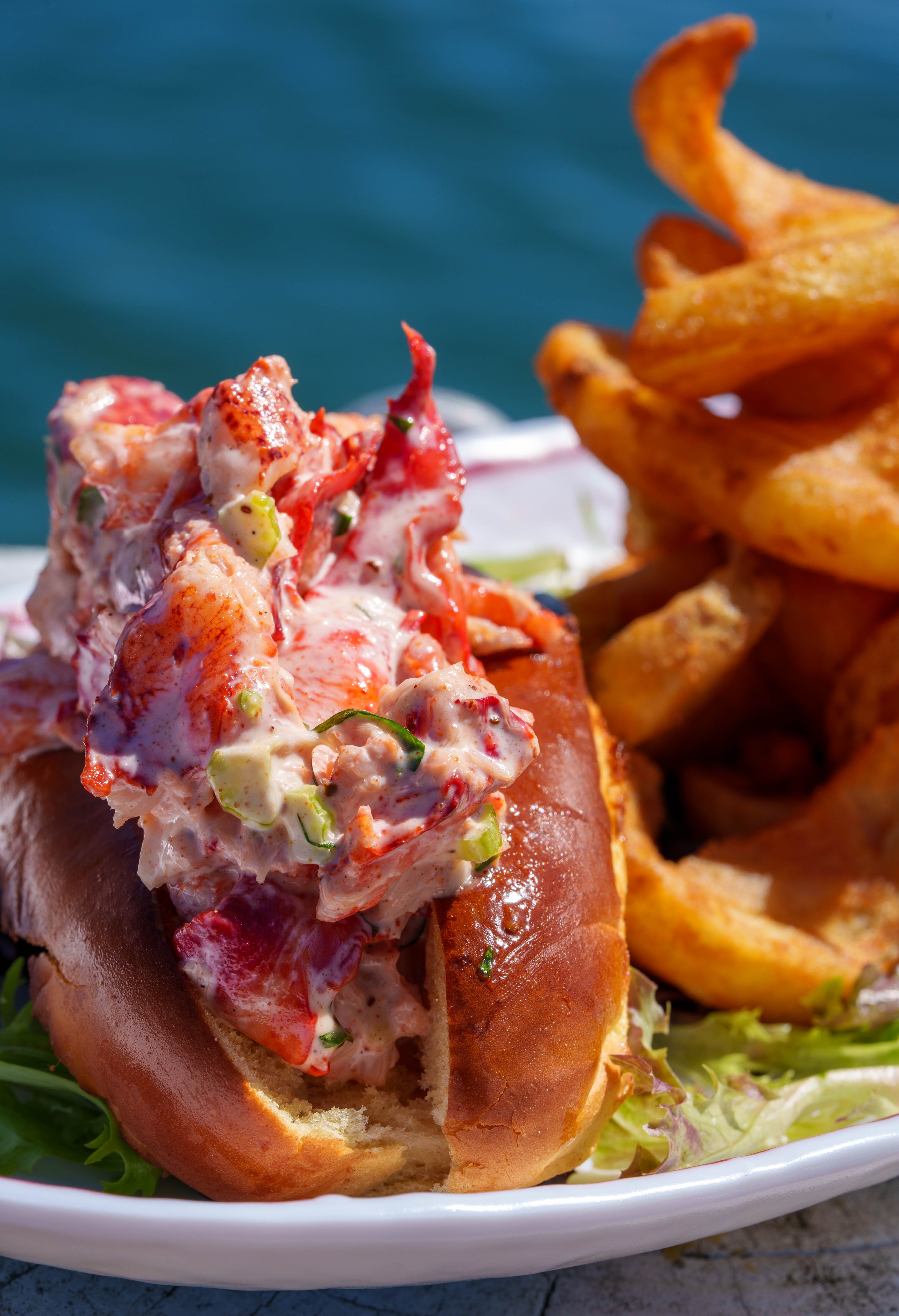 Claudio's lobster roll with fries