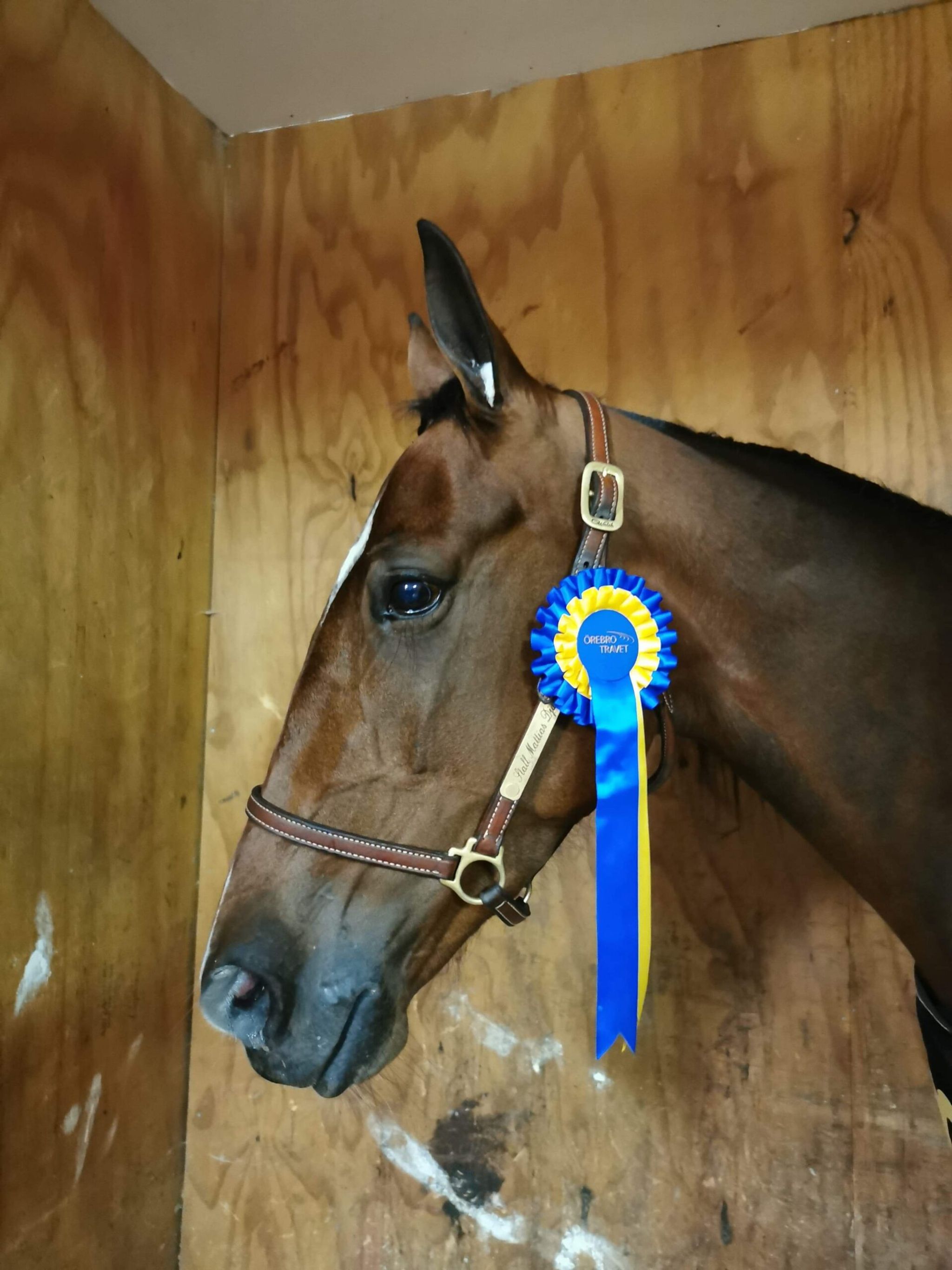 C2992C58-4ABE-42BA-AFDC-71E3478FEB56