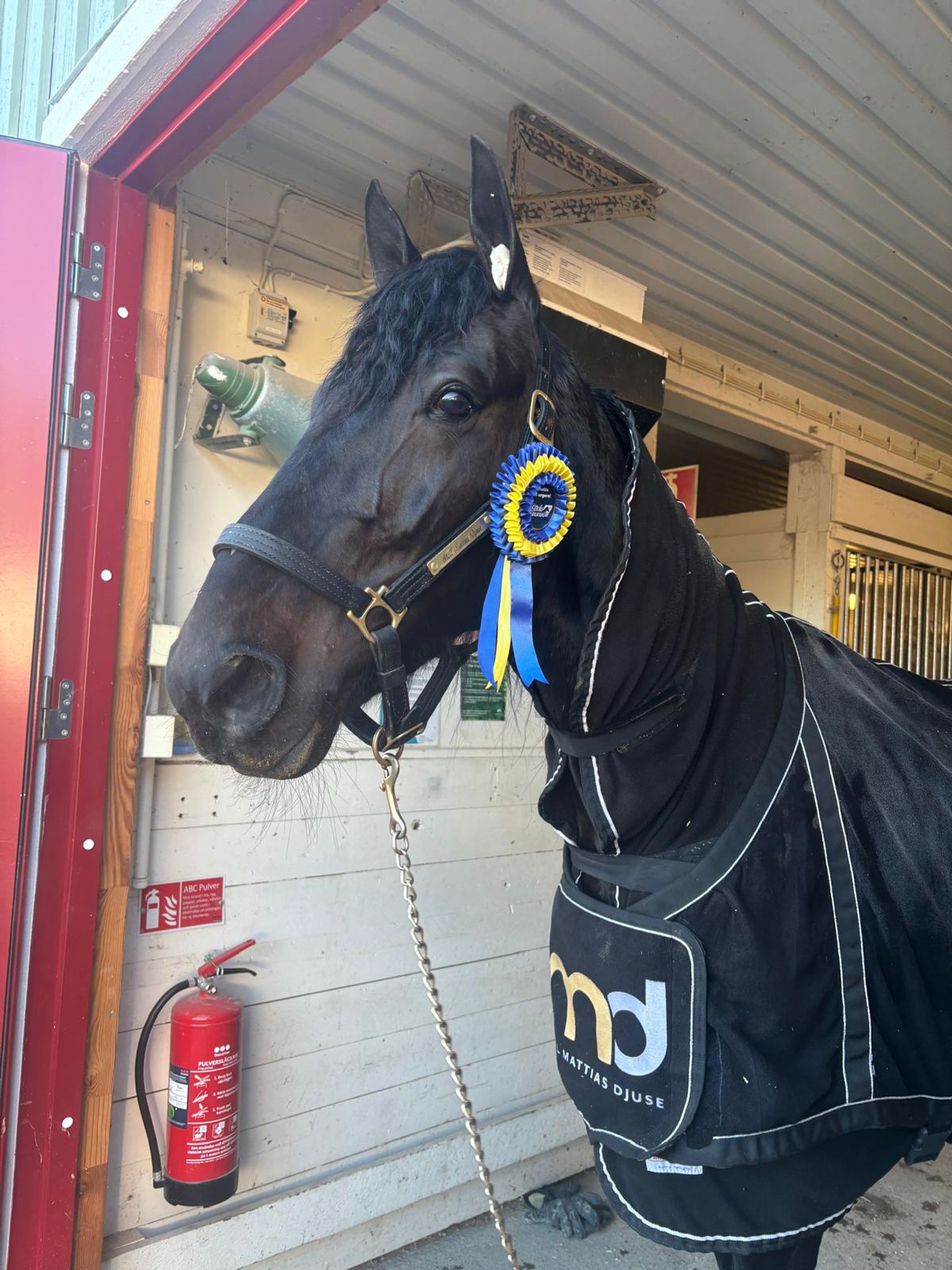 03C4B0F9-87AC-4716-821C-487F136EC4C0