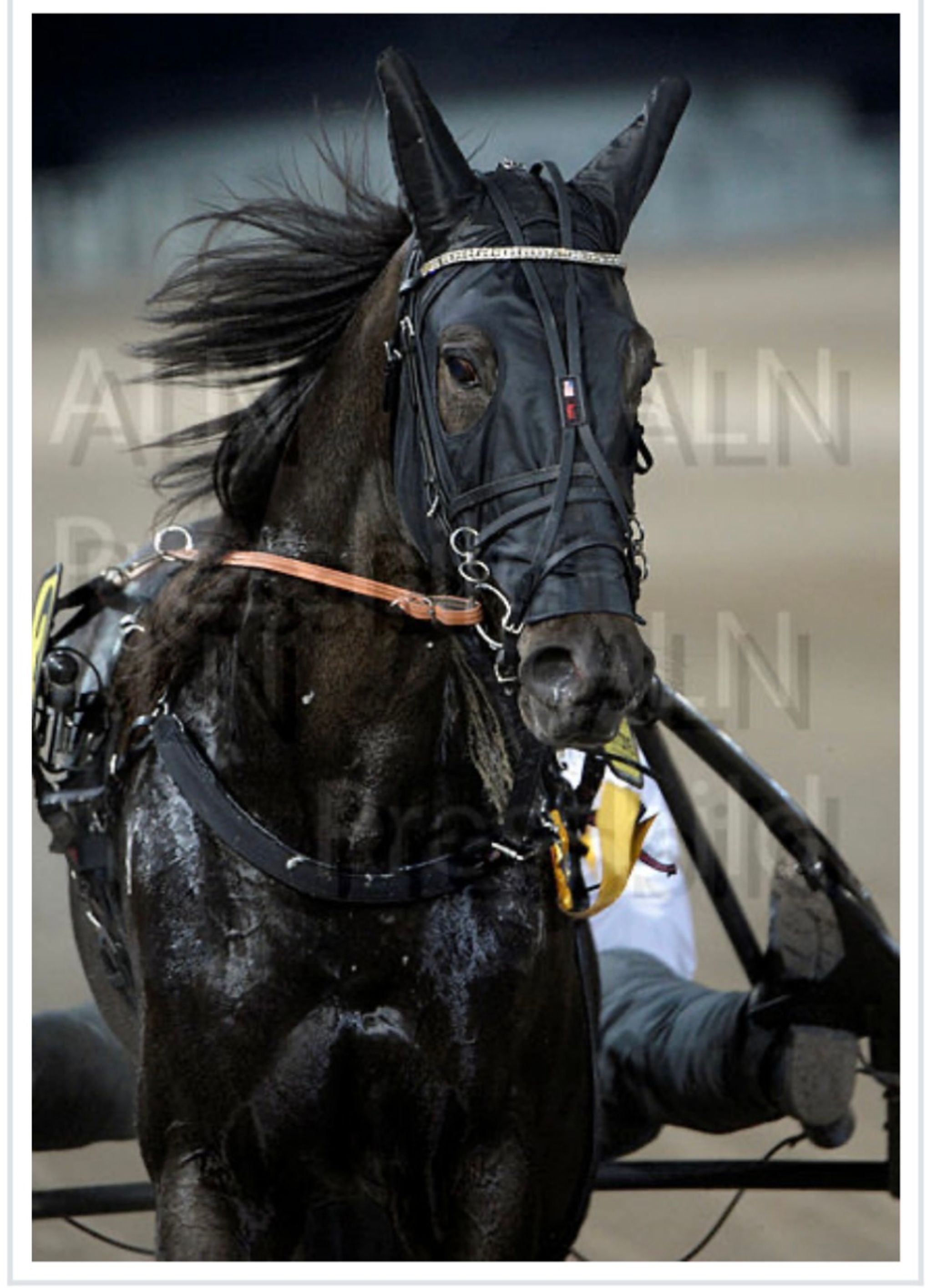 485209E3-C916-46E6-878E-AF1EAD61FB81