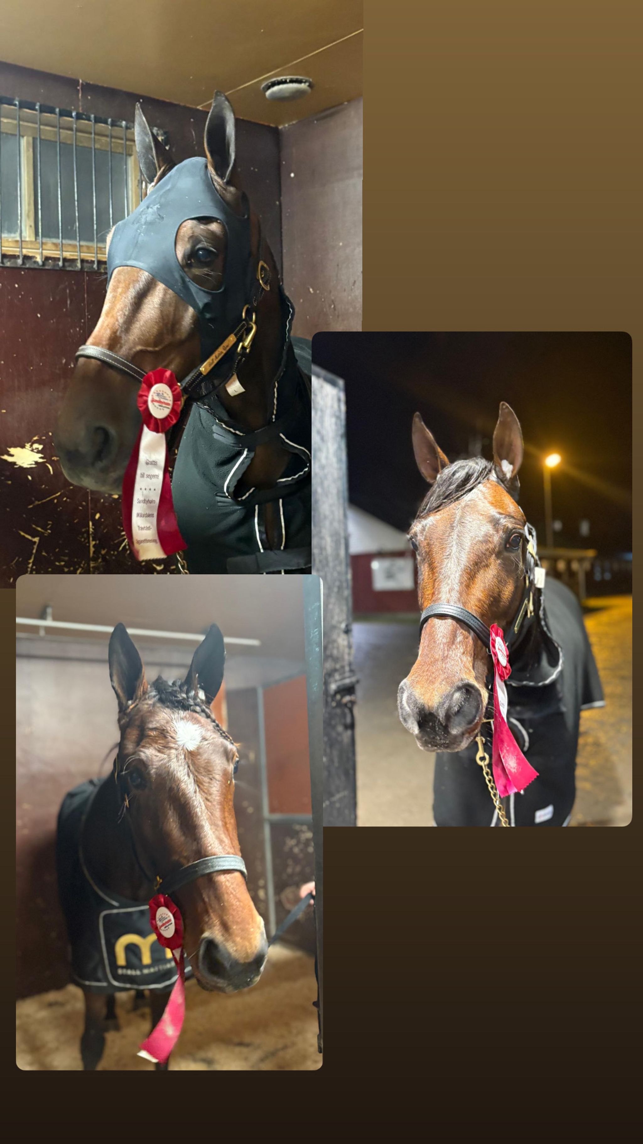 6ADA518F-5FF1-4AD6-95CC-E74CDDDBA303