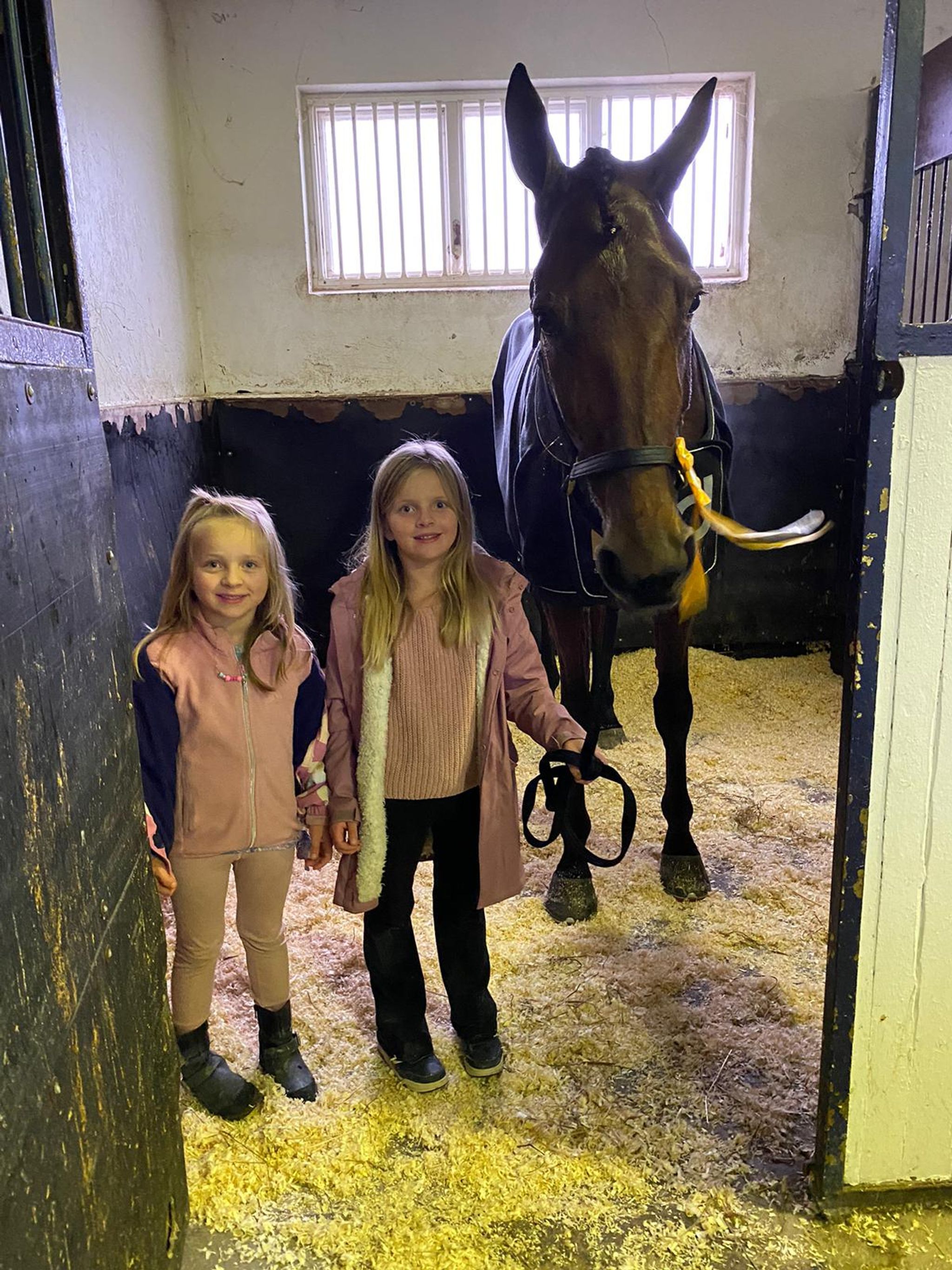 0D836F61-A64E-45AF-8E7A-12CF68CC69D7