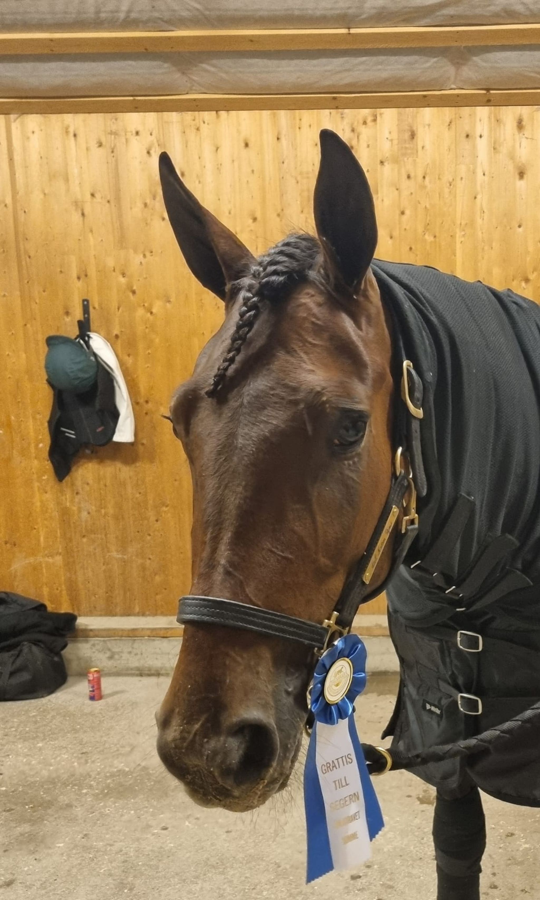 577A0E43-8139-4B99-A625-8CBC04F78D54