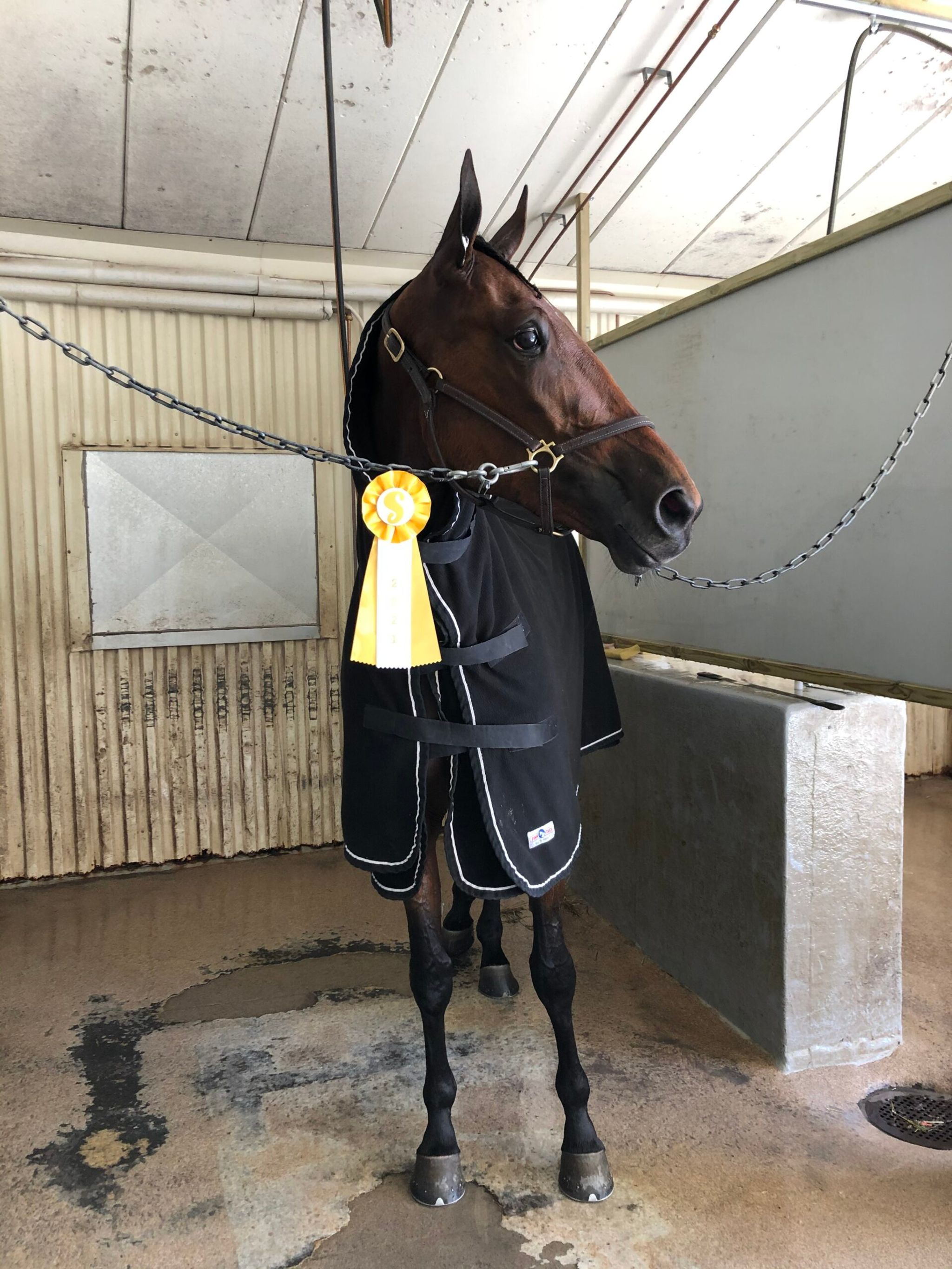 37650C0A-E4F8-4D34-A747-C79D17A68329